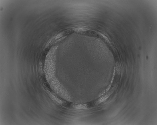 X0000062630670200601111101