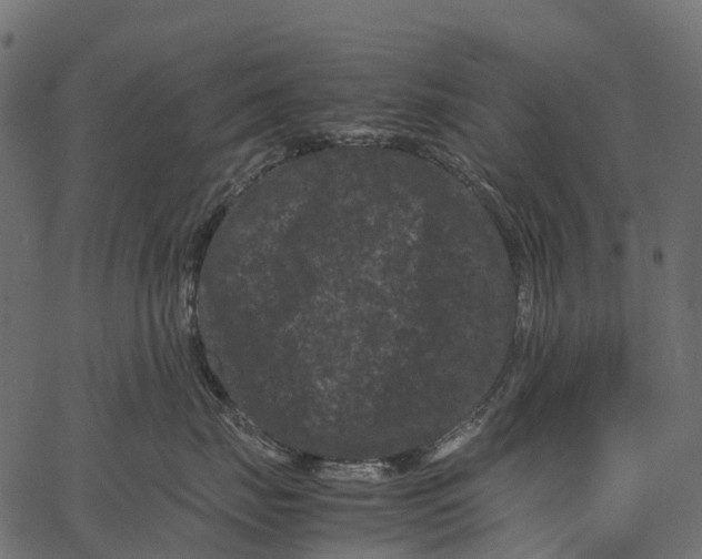 X0000062630671200601111101