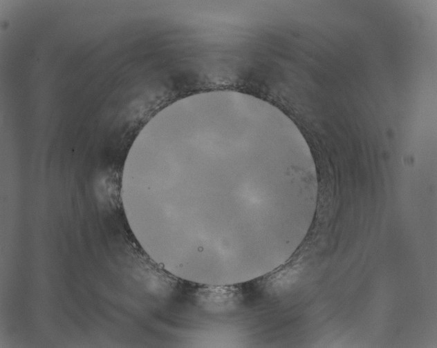 X0000062630672200601111101