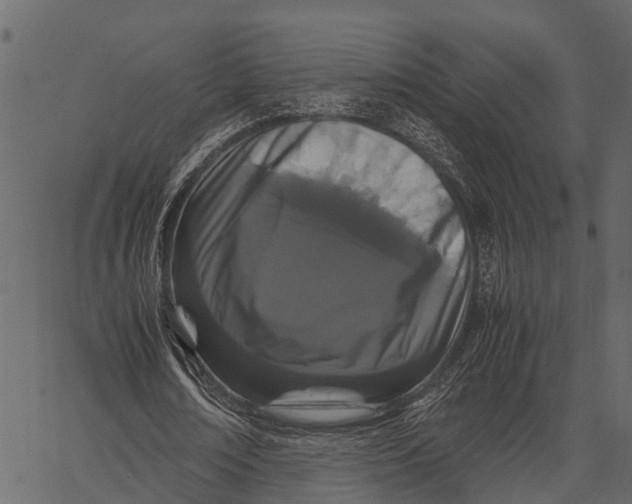 X0000062630674200601111101