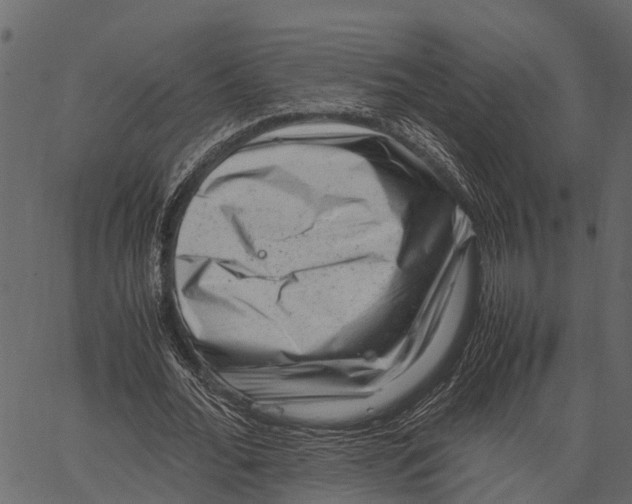 X0000062630676200601111101