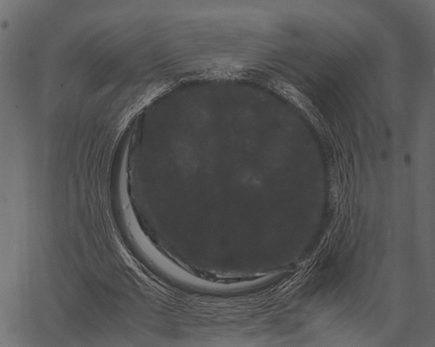 X0000062630677200601111100