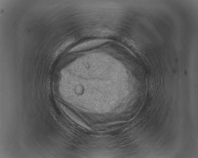 X0000062630679200601111100