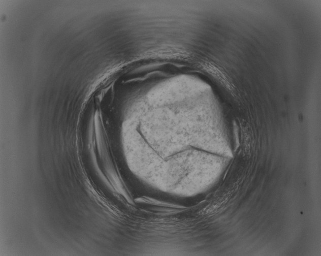 X0000062630680200601111100