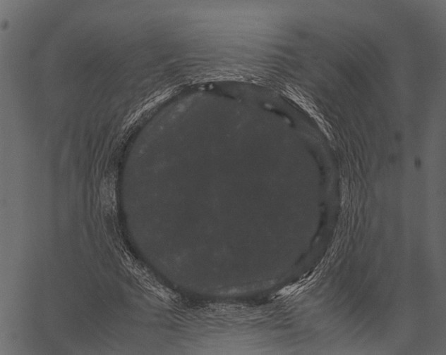 X0000062630681200601111100