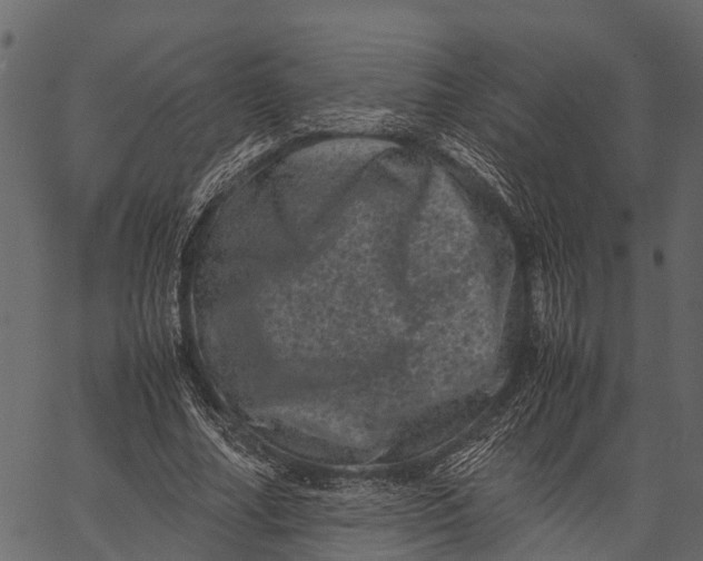 X0000062630682200601111100