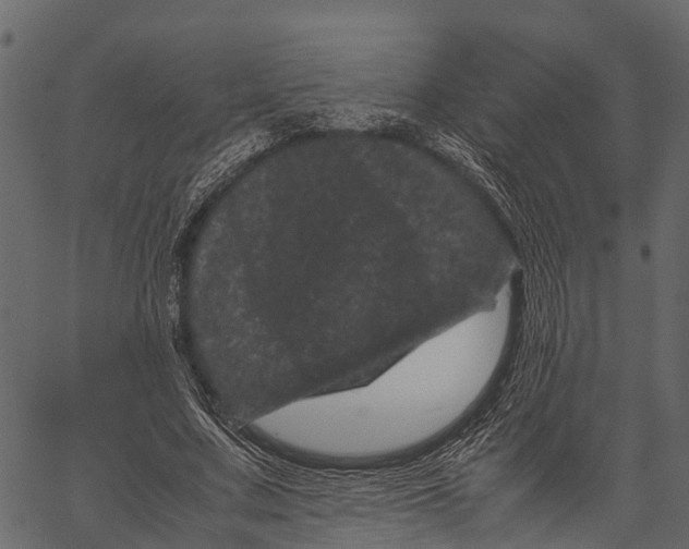 X0000062630683200601111100