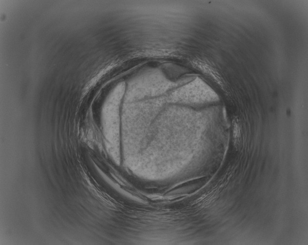 X0000062630684200601111100