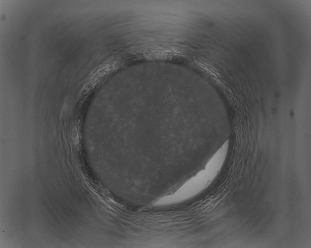 X0000062630687200601111100