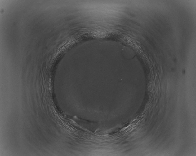 X0000062630689200601111100