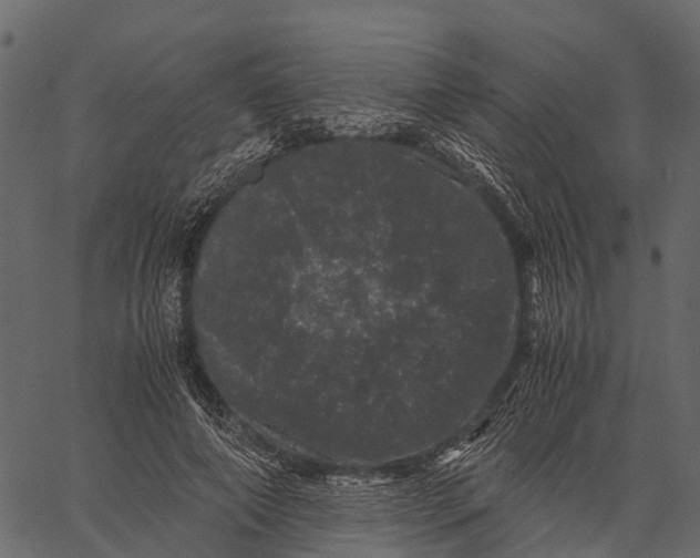 X0000062630690200601111100