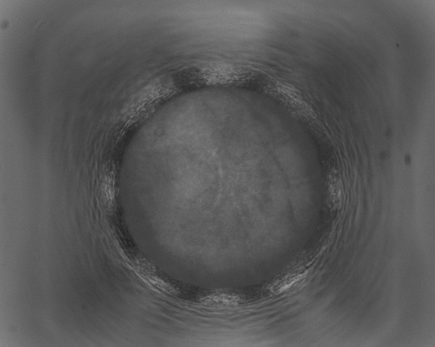 X0000062630691200601111100