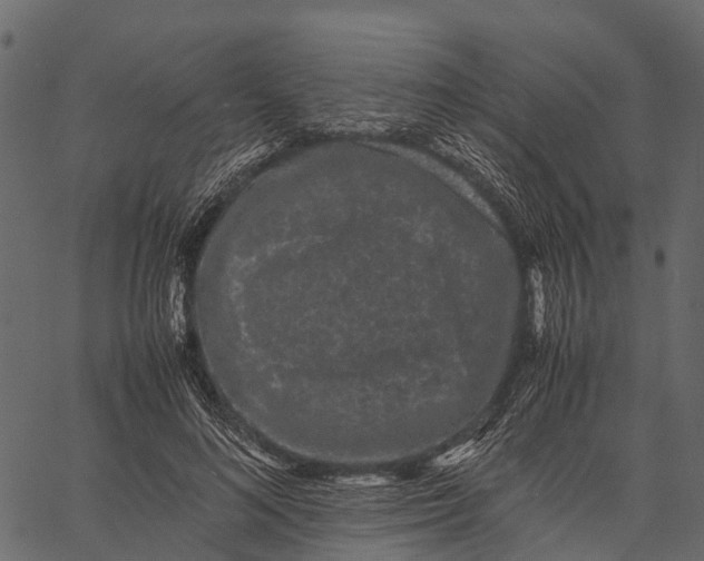 X0000062630692200601111100