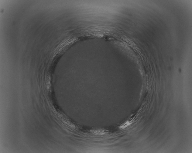 X0000062630693200601111100