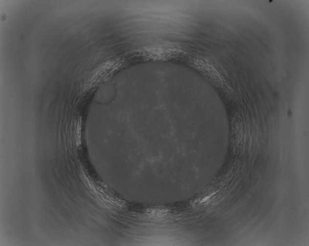 X0000062630694200601111100