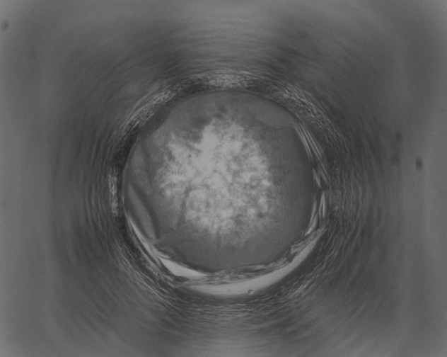 X0000062630696200601111100