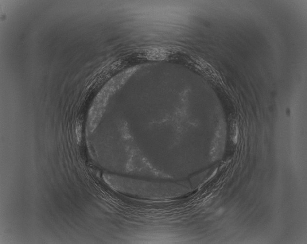 X0000062630697200601111100