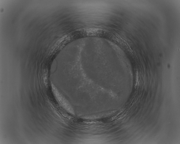 X0000062630698200601111100