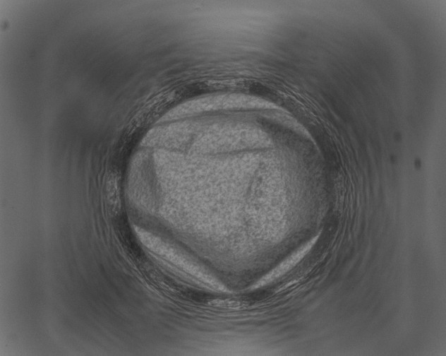 X0000062630699200601111100