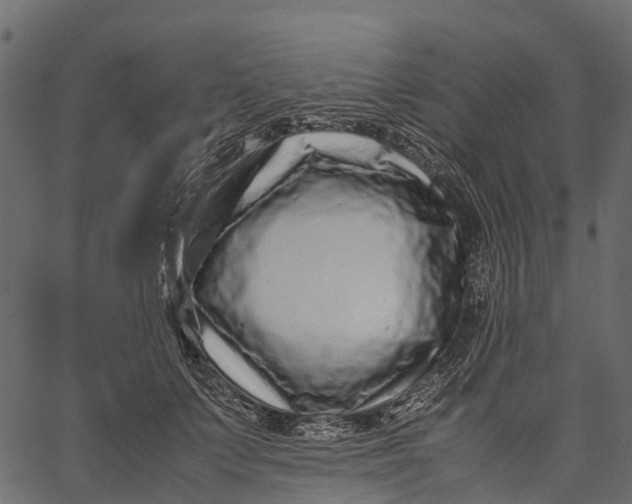 X0000062630703200601111100