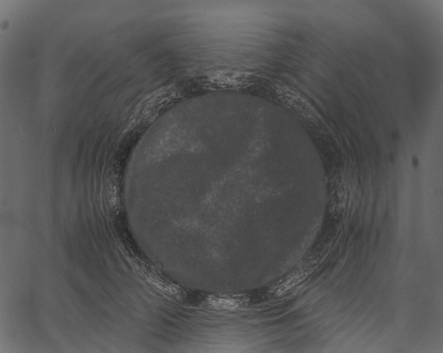 X0000062630706200601111100