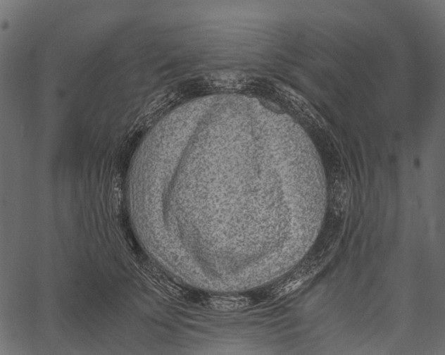 X0000062630707200601111100