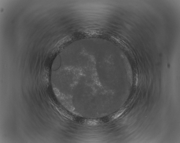 X0000062630710200601111100