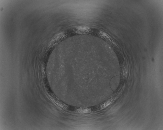 X0000062630711200601111100