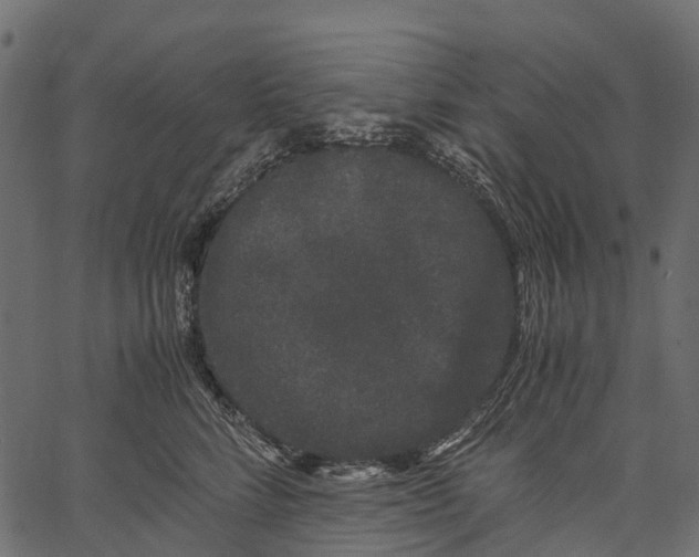 X0000062630712200601111100