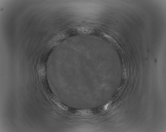 X0000062630713200601111100