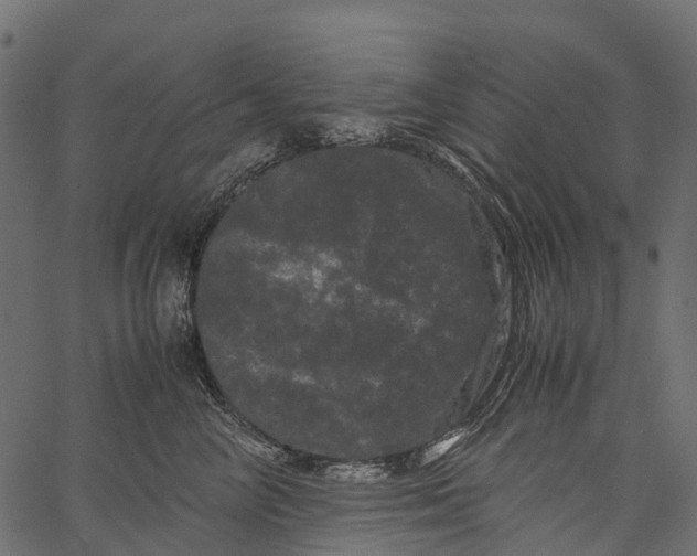 X0000062630714200601111100