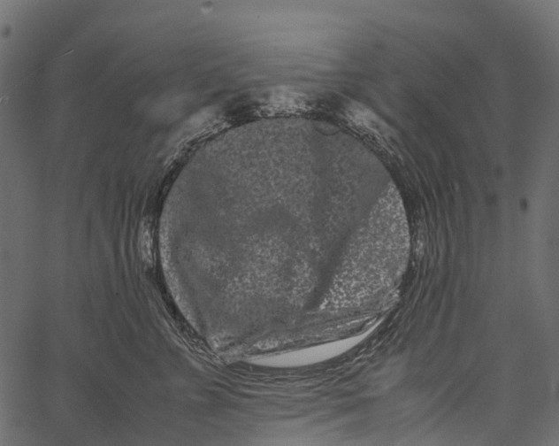 X0000062630715200601111100