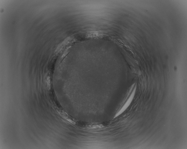 X0000062630716200601111100