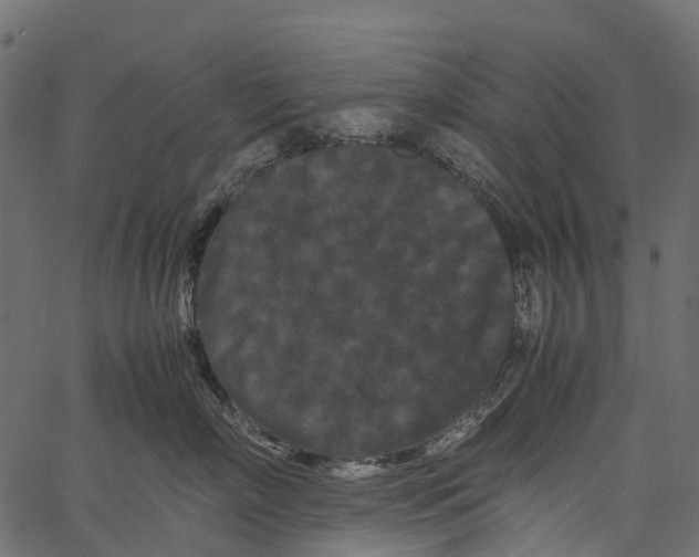 X0000062630718200601111100