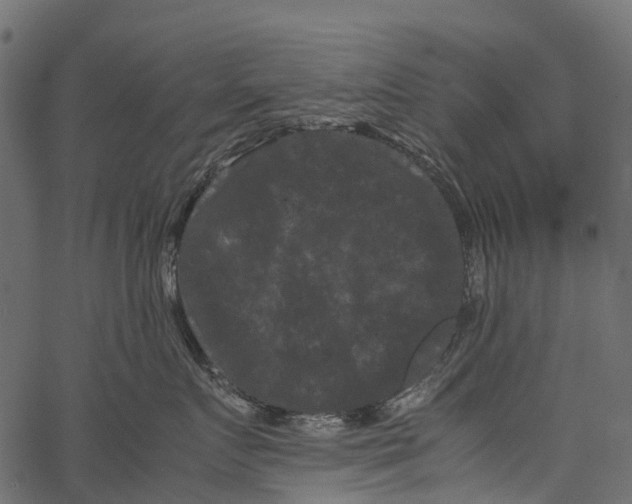 X0000062630719200601111100