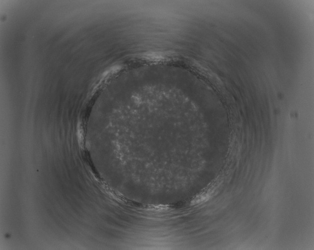 X0000062630720200601111100