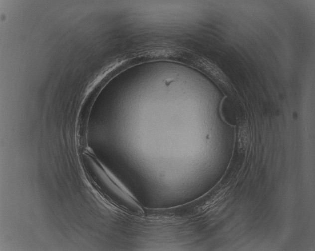 X0000062630722200601111059