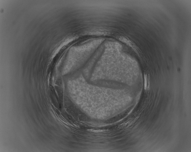 X0000062630723200601111059