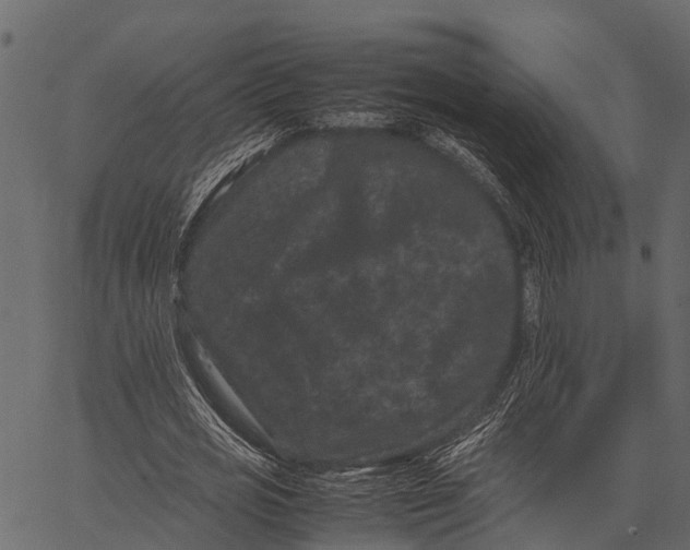 X0000062630725200601111059