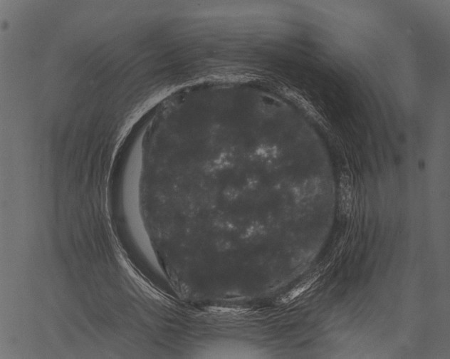 X0000062630726200601111059