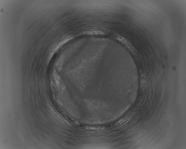 X0000062630727200601111059