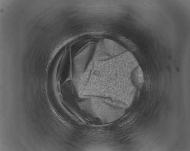 X0000062630728200601111059