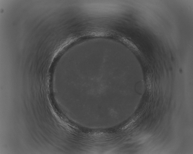 X0000062630730200601111059