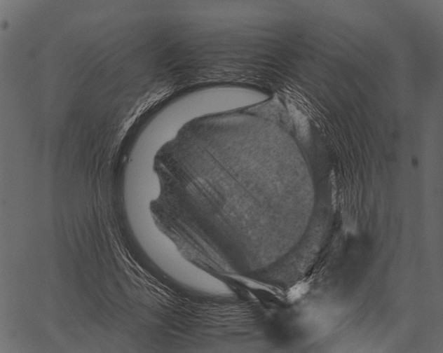 X0000062630731200601111059