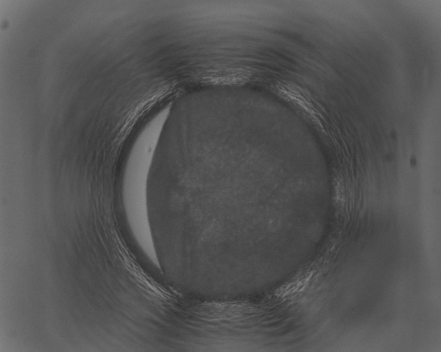 X0000062630733200601111059