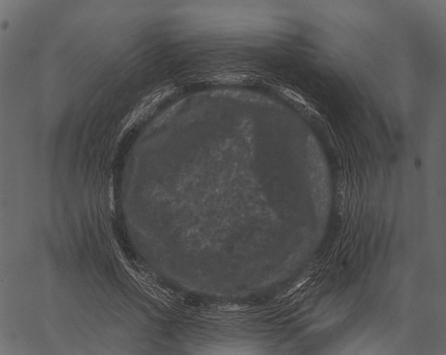 X0000062630734200601111059