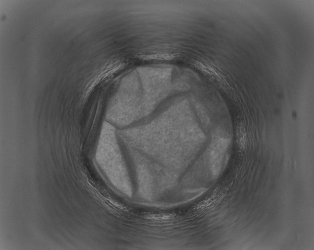 X0000062630735200601111059