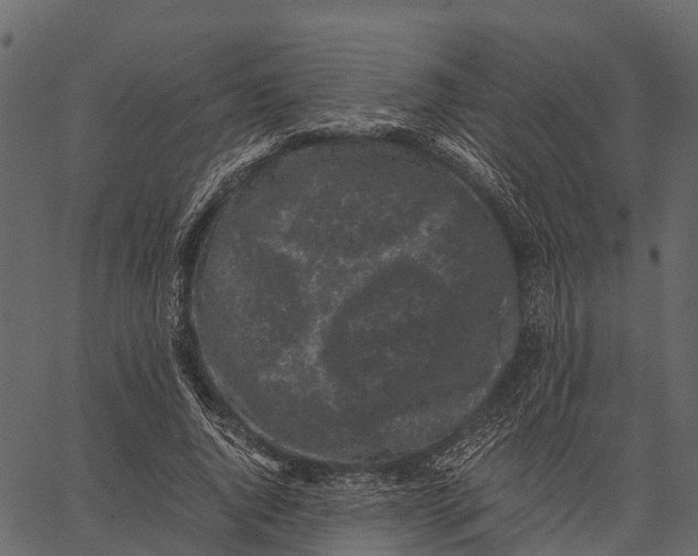 X0000062630736200601111059