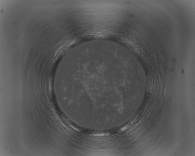 X0000062630740200601111059