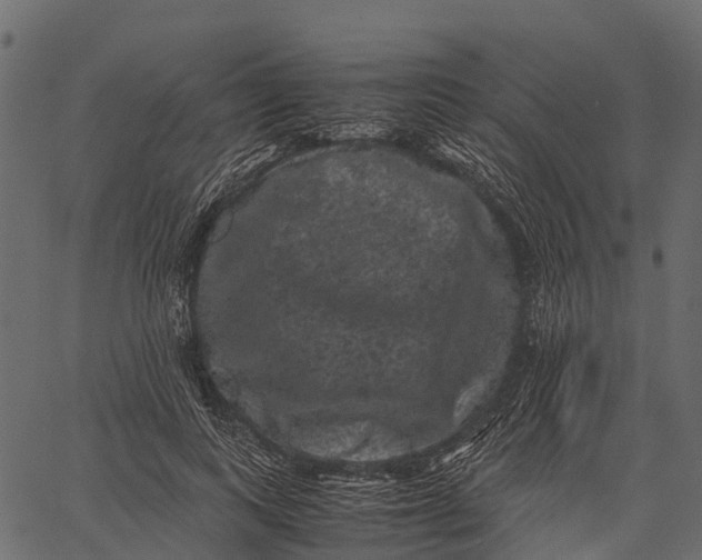 X0000062630743200601111059